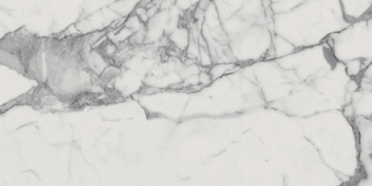 Charme Evo Statuario 60x120 люкс ITALON керамогранит